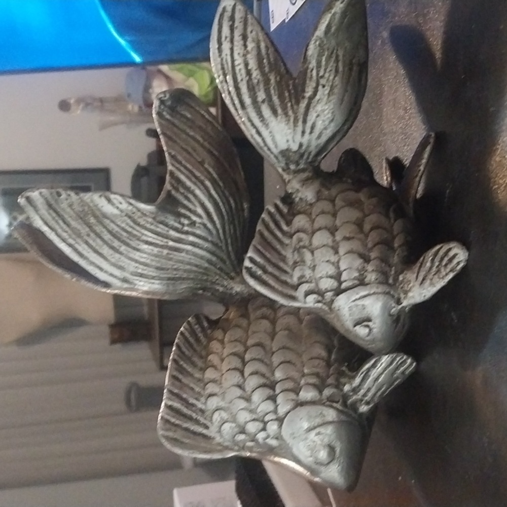 Small and large koi fish - Picture 8 of 8